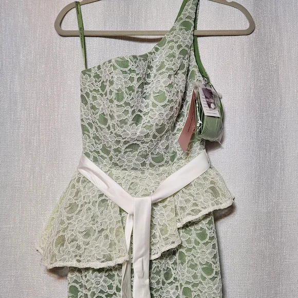 Mori Lee Madeline Gardner Formal Evening Lace Bridesmaid Wedding Fancy Full - Picture 1 of 16